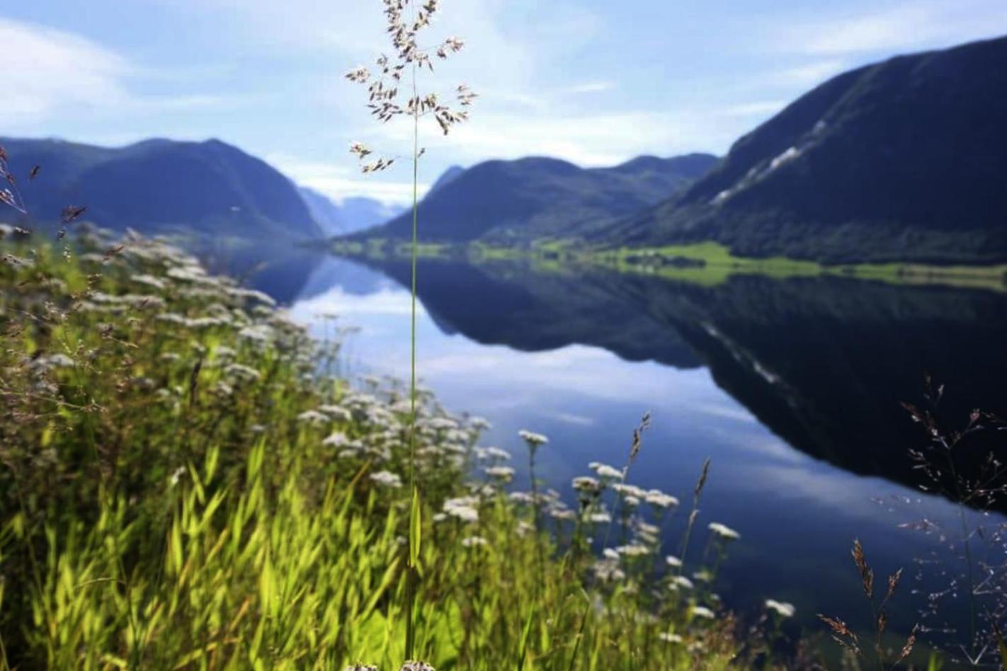 Jolster Lake View Ardal  Екстер'єр фото